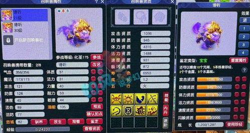 七夕锦衣老王爆料视频,揭秘神秘视频背后的故事  第3张